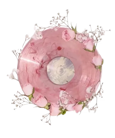 Image postée par le membre