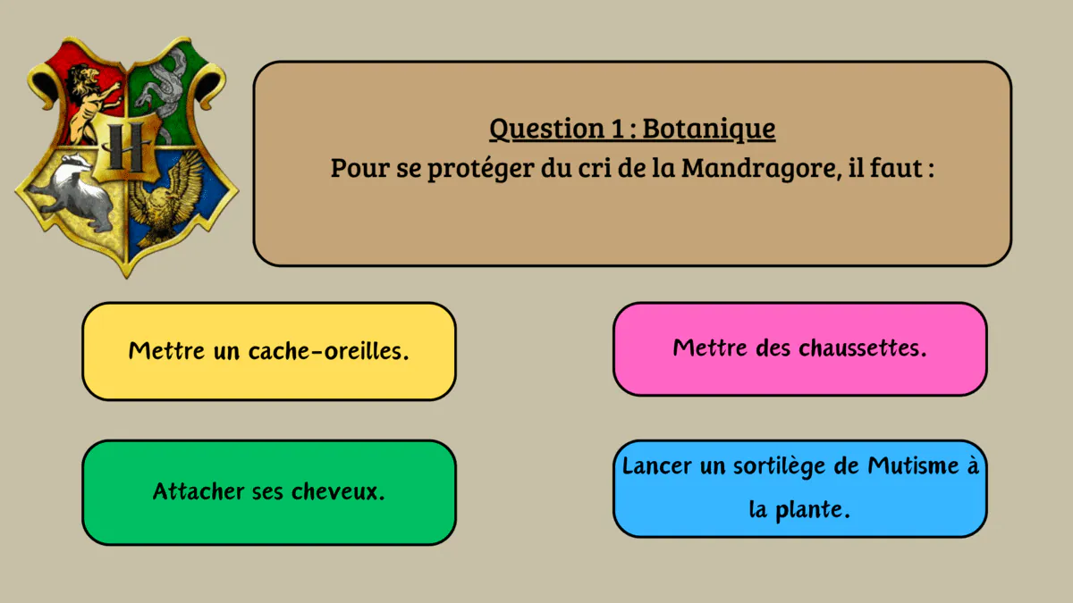 Image postée par le membre