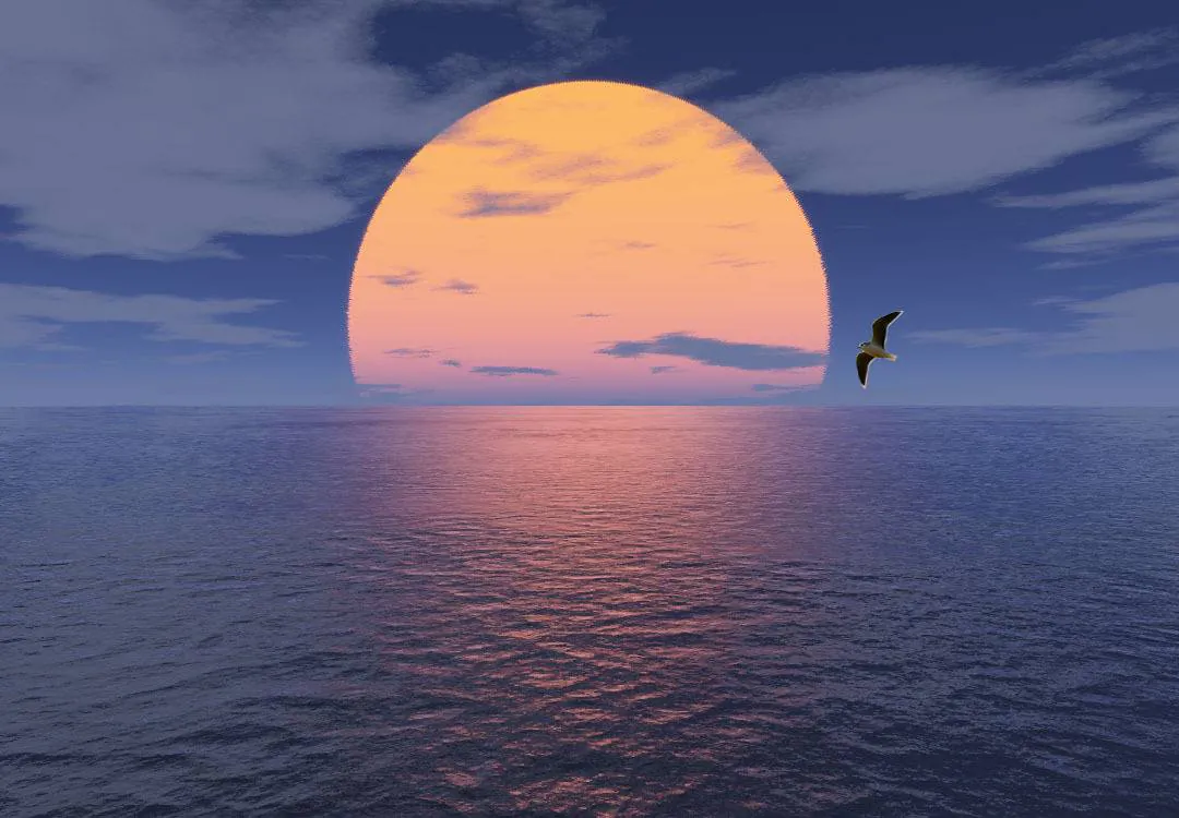 Image postée par le membre