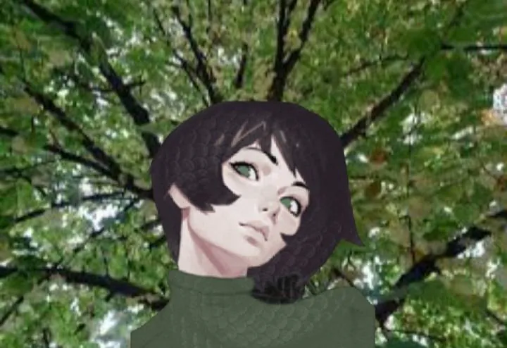Image postée par le membre