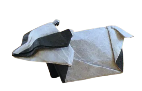 origami blaireau