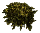 Image postée par le membre