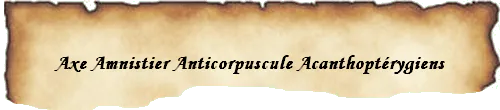 Image postée par le membre
