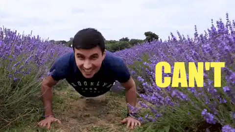 Image postée par le membre
