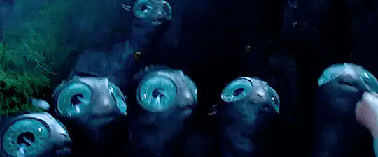 Image postée par le membre