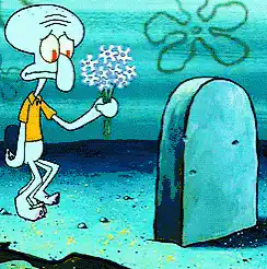Image postée par le membre