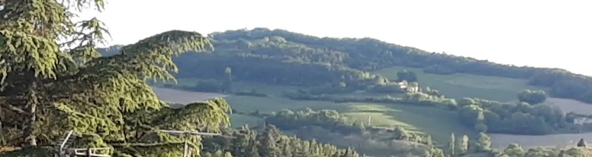 Image postée par le membre