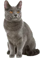 Image postée par le membre