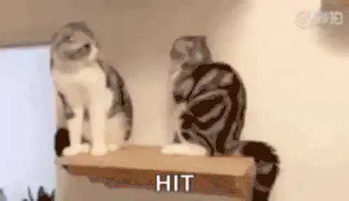 Image postée par le membre