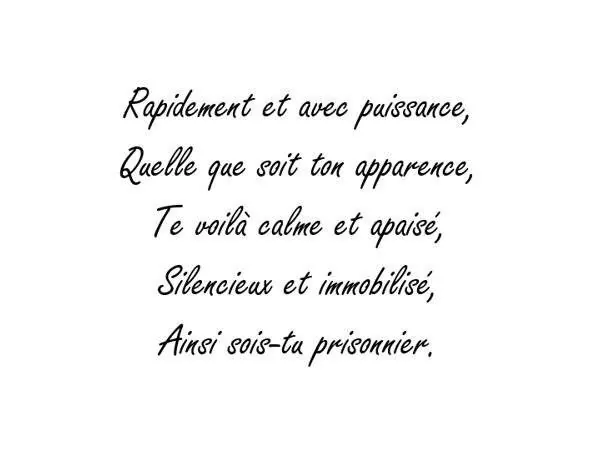 Image postée par le membre