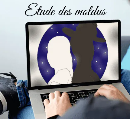 Image postée par le membre