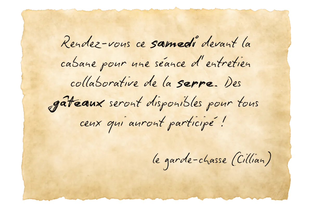 Image postée par le membre