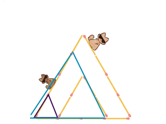 Image postée par le membre