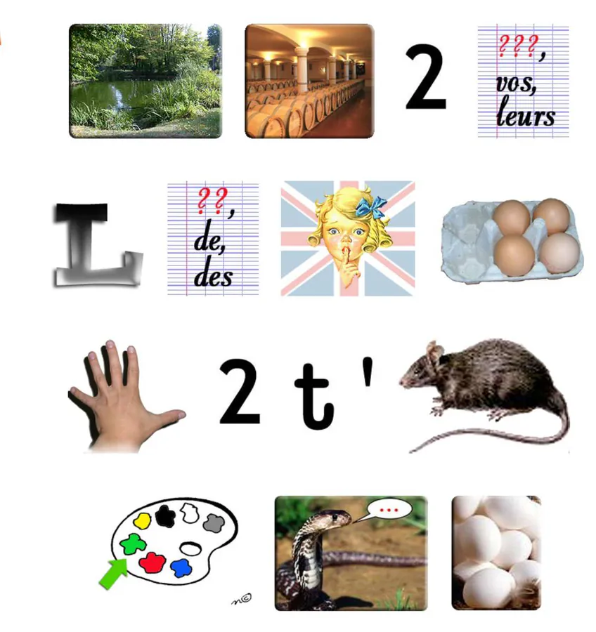 Image postée par le membre