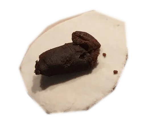 Image postée par le membre