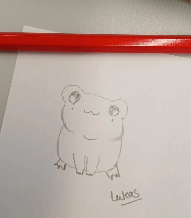 Image postée par le membre