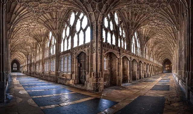 Image postée par le membre