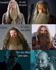 Image postée par le membre
