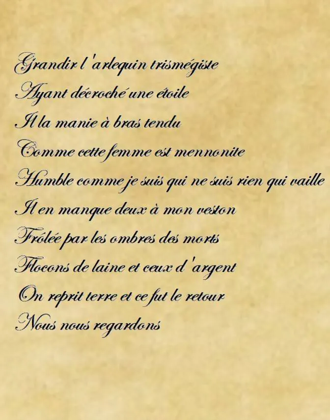 Image postée par le membre
