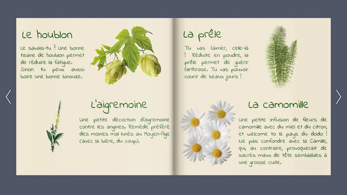 Image postée par le membre