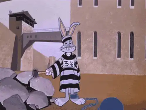 Image postée par le membre