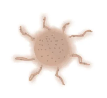 Image postée par le membre