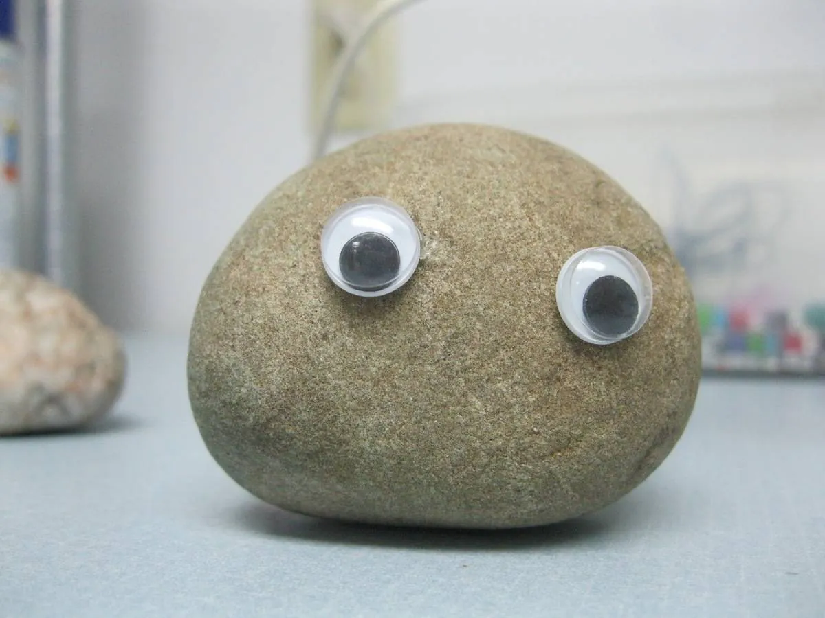 Image postée par le membre