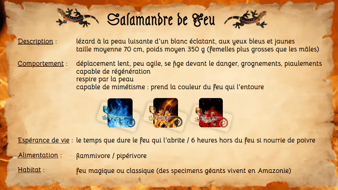 Image postée par le membre