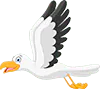 Image postée par le membre