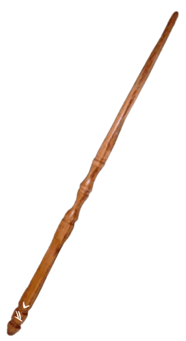 Image postée par le membre