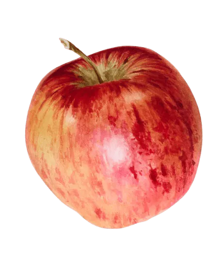 Image postée par le membre