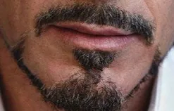 Image postée par le membre