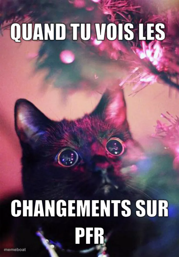 Un chat noir aux yeux brillants et réfléchissants qui observe depuis sous un sapin de Noël illuminé. L’image convient aux blagues réactionnelles à la fois festives et inquiétantes, malicieuses, ou du genre « je te surveille ». Texte sur l’image : « Quand tu vois les changements sur PFR »
