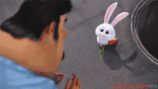Image postée par le membre