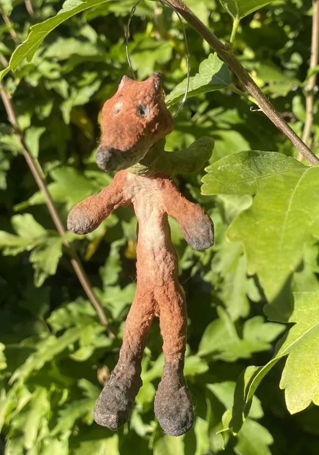 Image postée par le membre