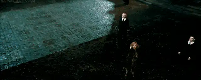 Image postée par le membre
