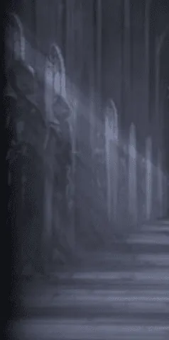 Image postée par le membre