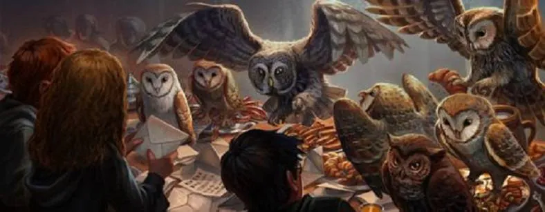 Image postée par le membre