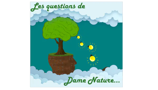 Image postée par le membre