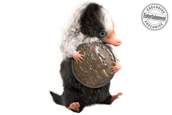 Image postée par le membre