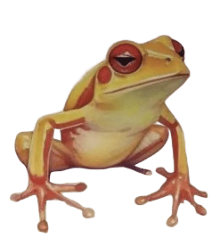 Image postée par le membre