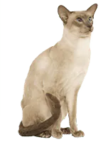 Image postée par le membre