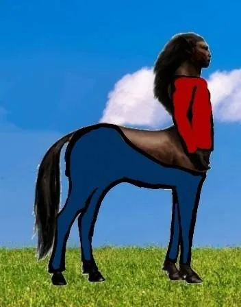Image postée par le membre