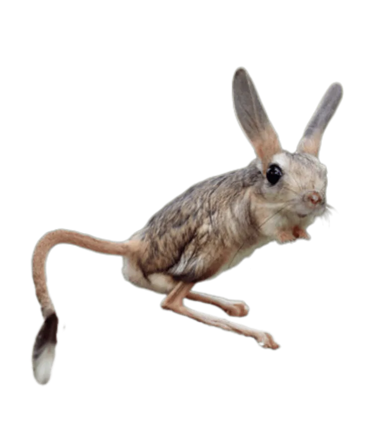 Image postée par le membre