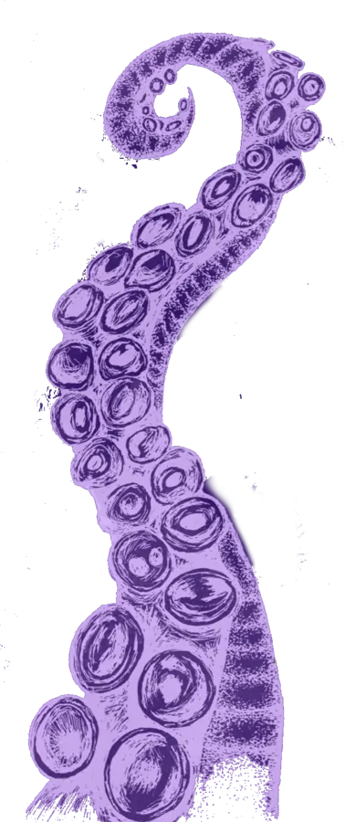 bras de poulpe violet