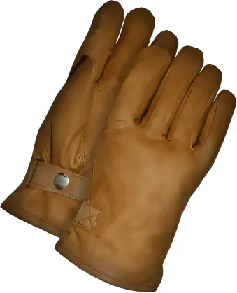 Image postée par le membre