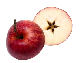 Pomme coupée en deux laissant apparaître les pépins formant une étoile (pintacle) au centre