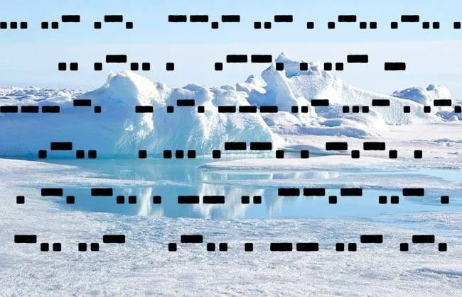 Image postée par le membre