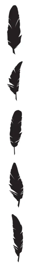 Image postée par le membre
