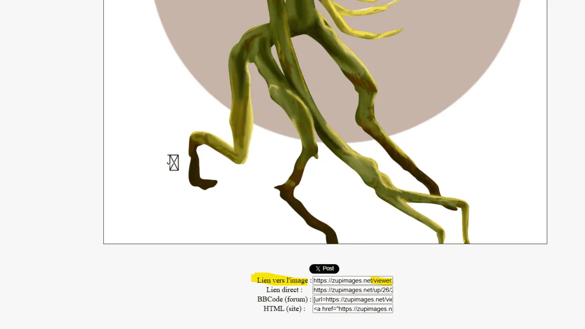 Image